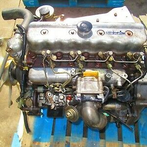 Fd35 – Interstar DCi Q94 (HBS)